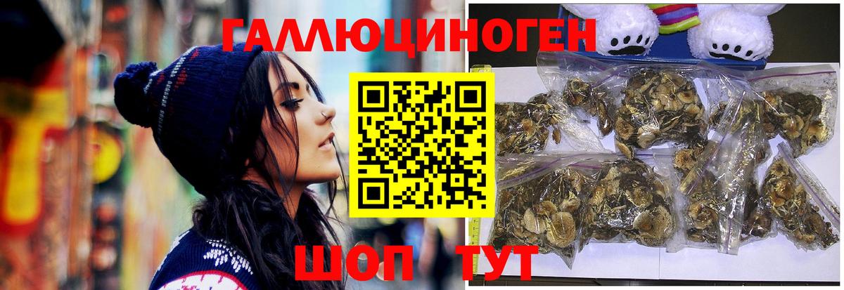 Галлюциногенные грибы мухоморы Кизляр