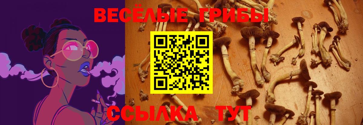 Кизляр  Меф МЯУ МЯУ   КОКАИН  Вход с VPN  Купить  ГАШИШ  МАРИХУАНА 